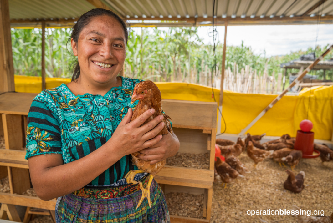 ending food scarcity with a chicken project