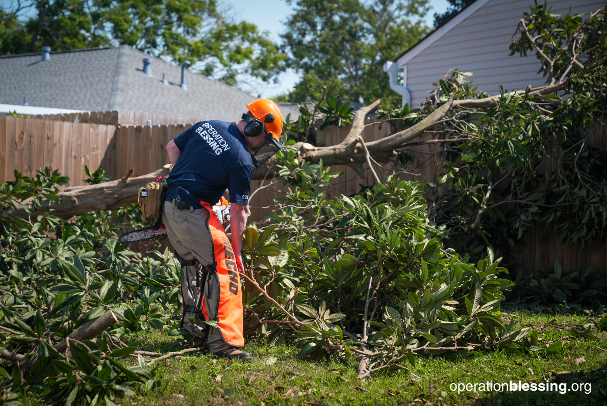 debris cleanup and removal