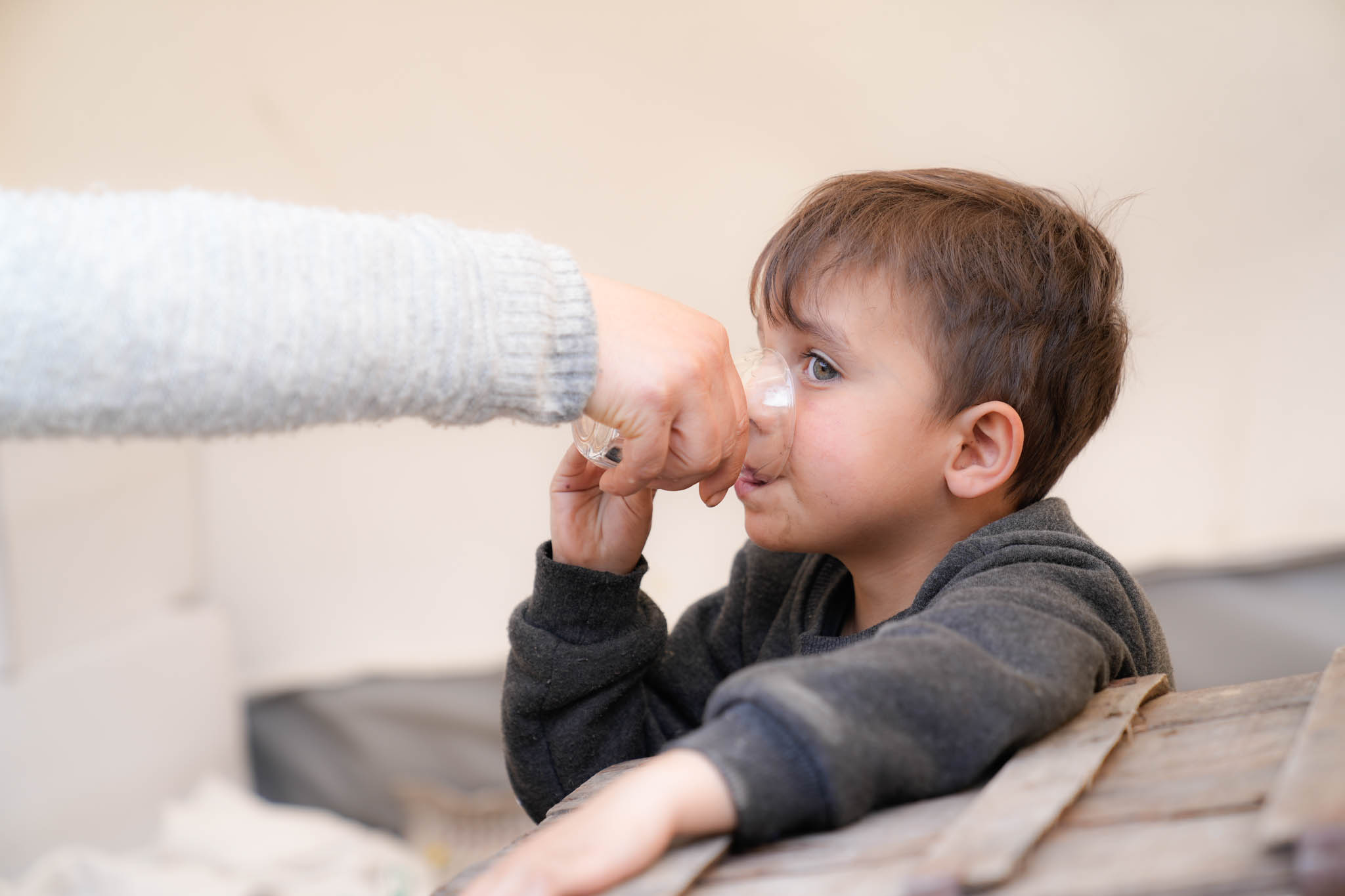 clean water and food for turkey