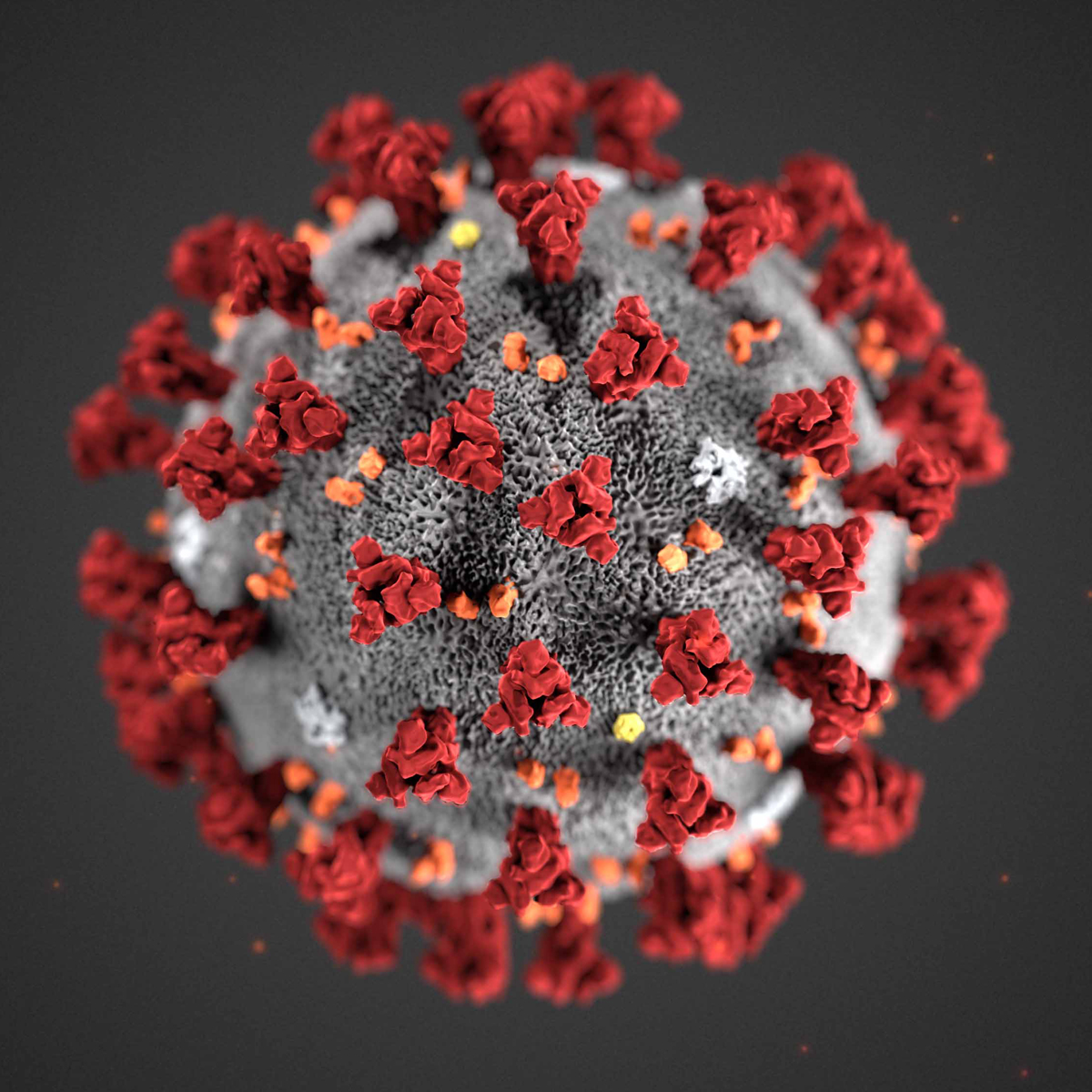 covid-19-coronavirus