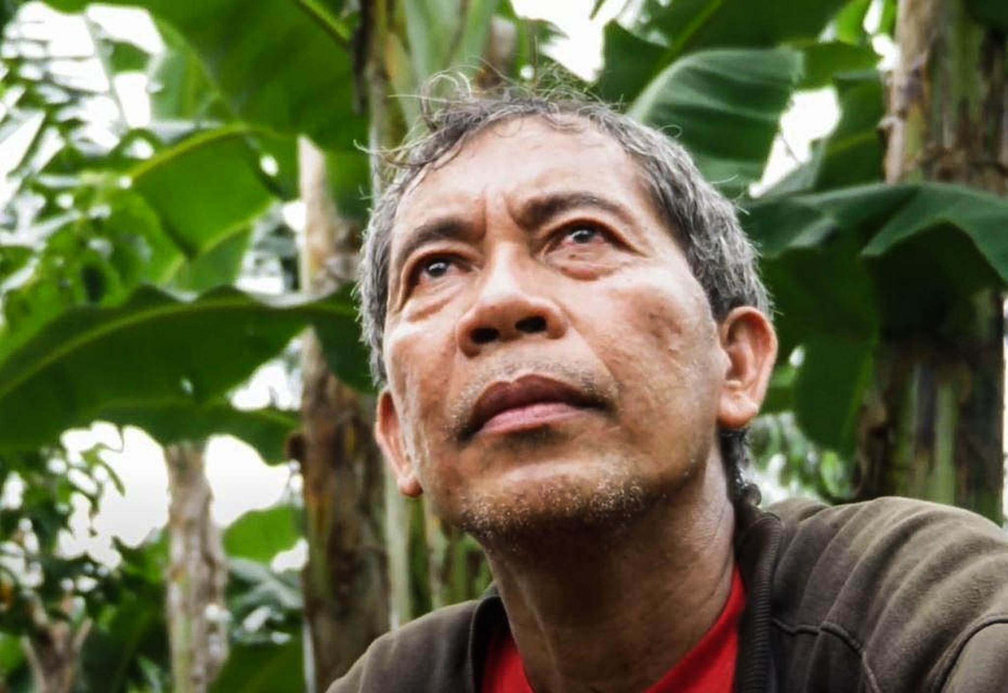 destruction typhoon in  philippines