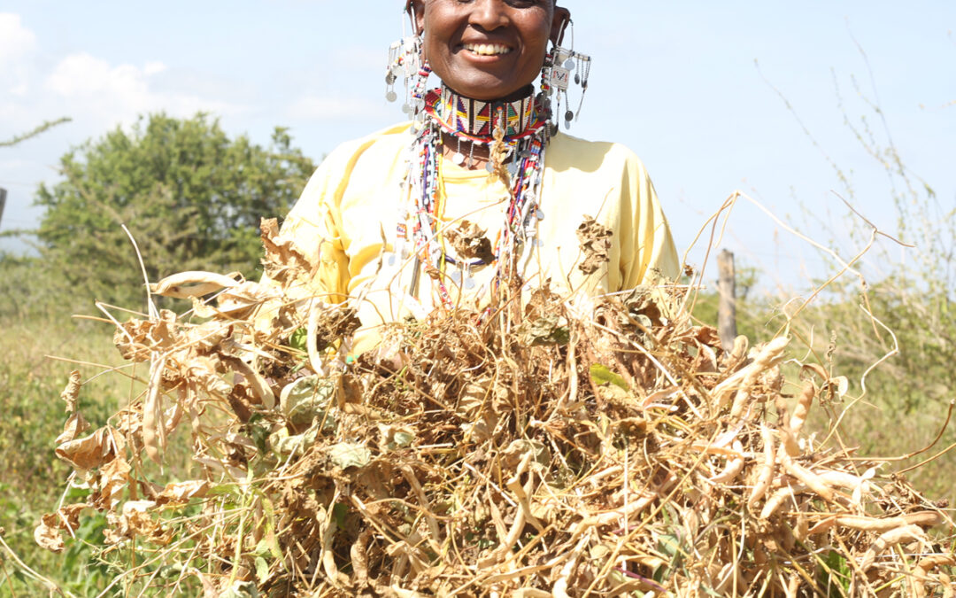 Gifts that Keep on Giving