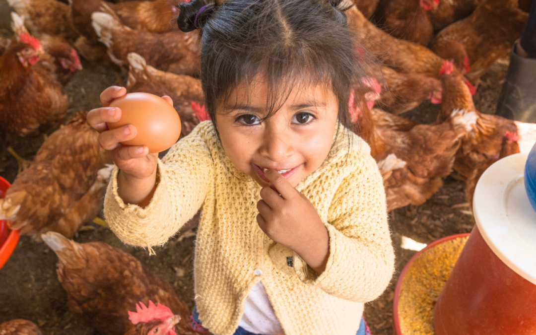  Hatching Hope for a Future Without Generational Poverty