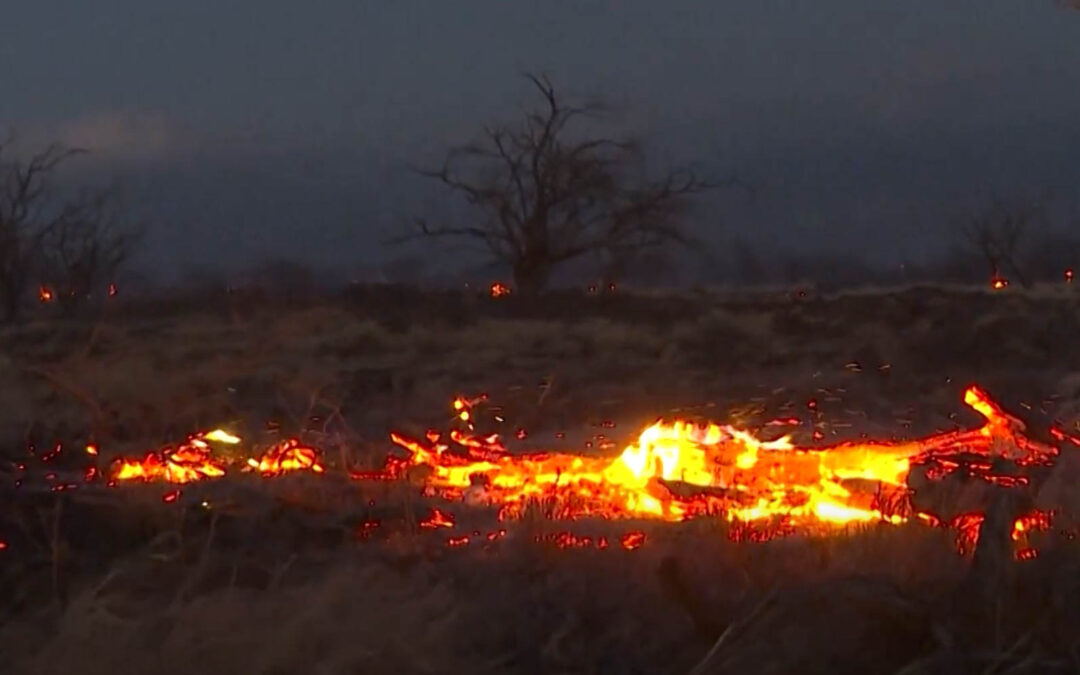 Responding After Deadly Wildfires Strike Lahaina