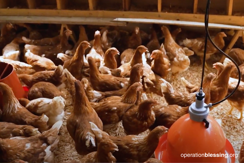 microenterprise solutions to hunger