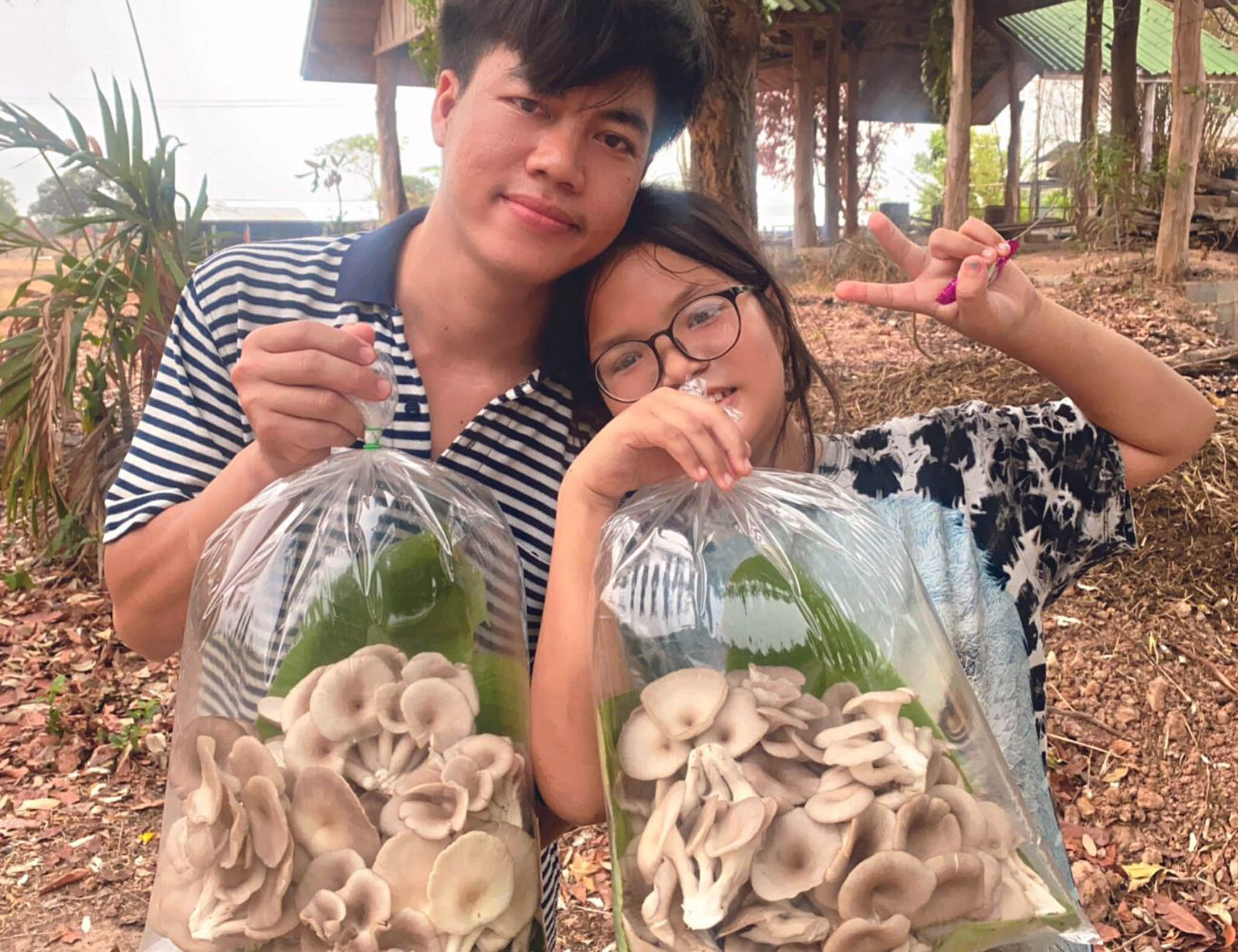 Mushroom Farm Training Program