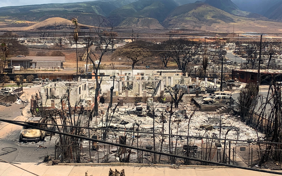 Your Compassion Rekindled Hope After Raging Wildfires