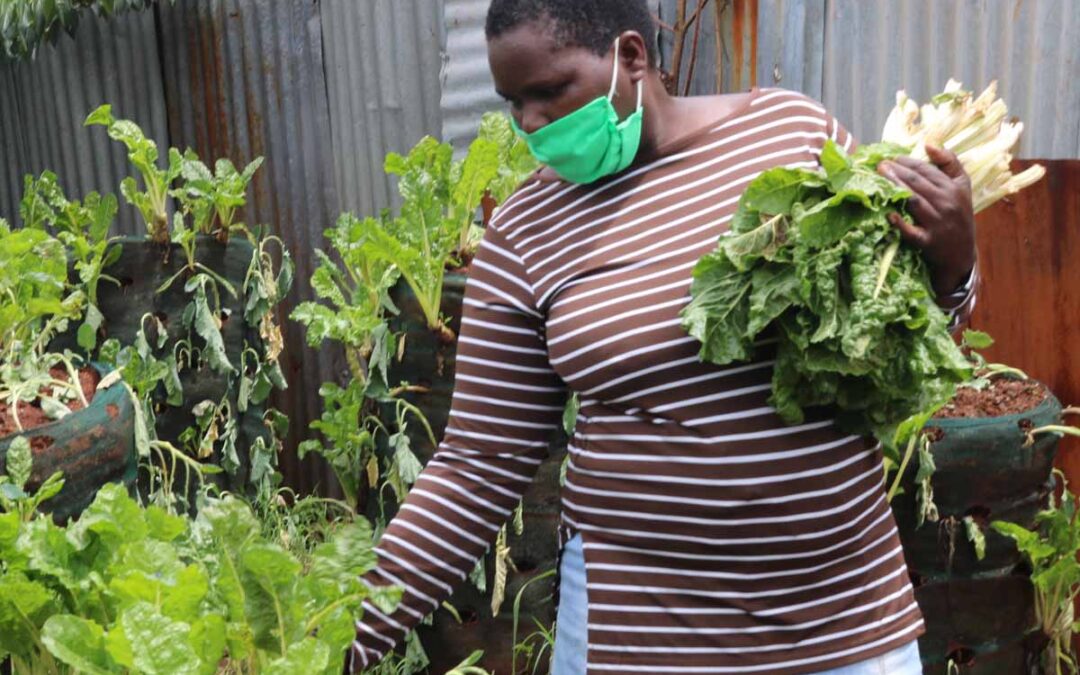 Sack Gardens Bloom in Kenya as COVID-19 Hits
