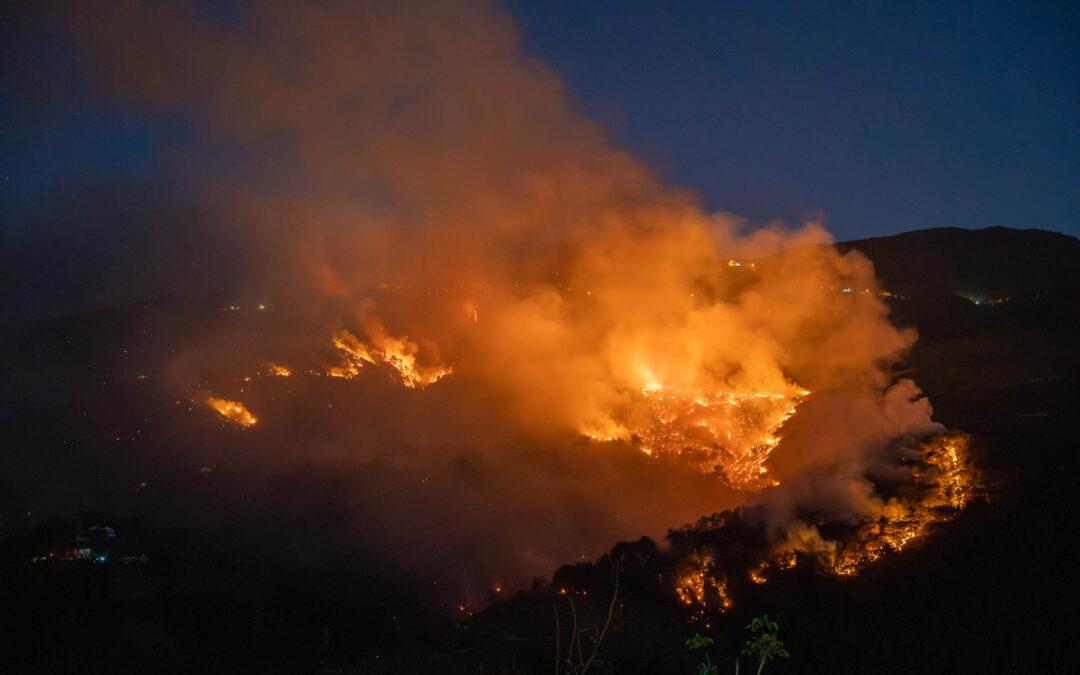 Supporting First Responders After Turkey Fire