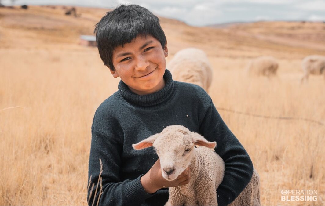 Peru clean water for livestock