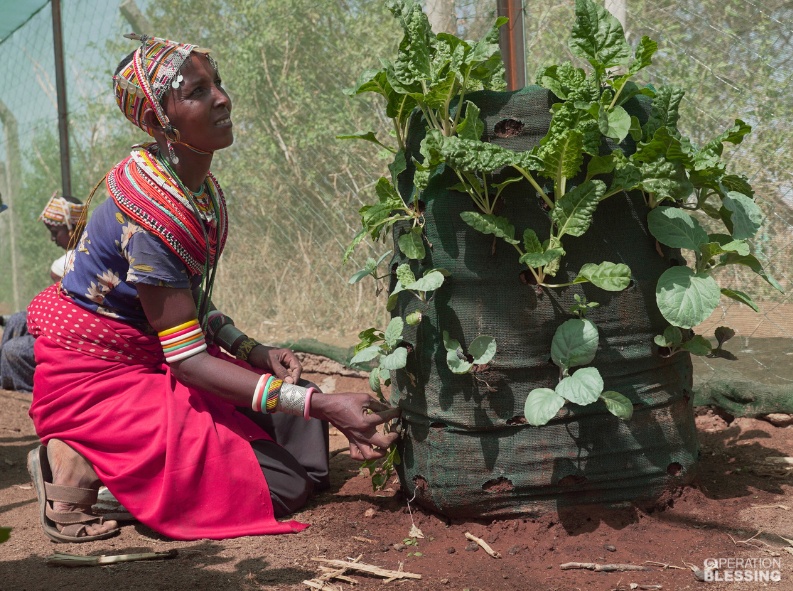 Farming and Family Agriculture