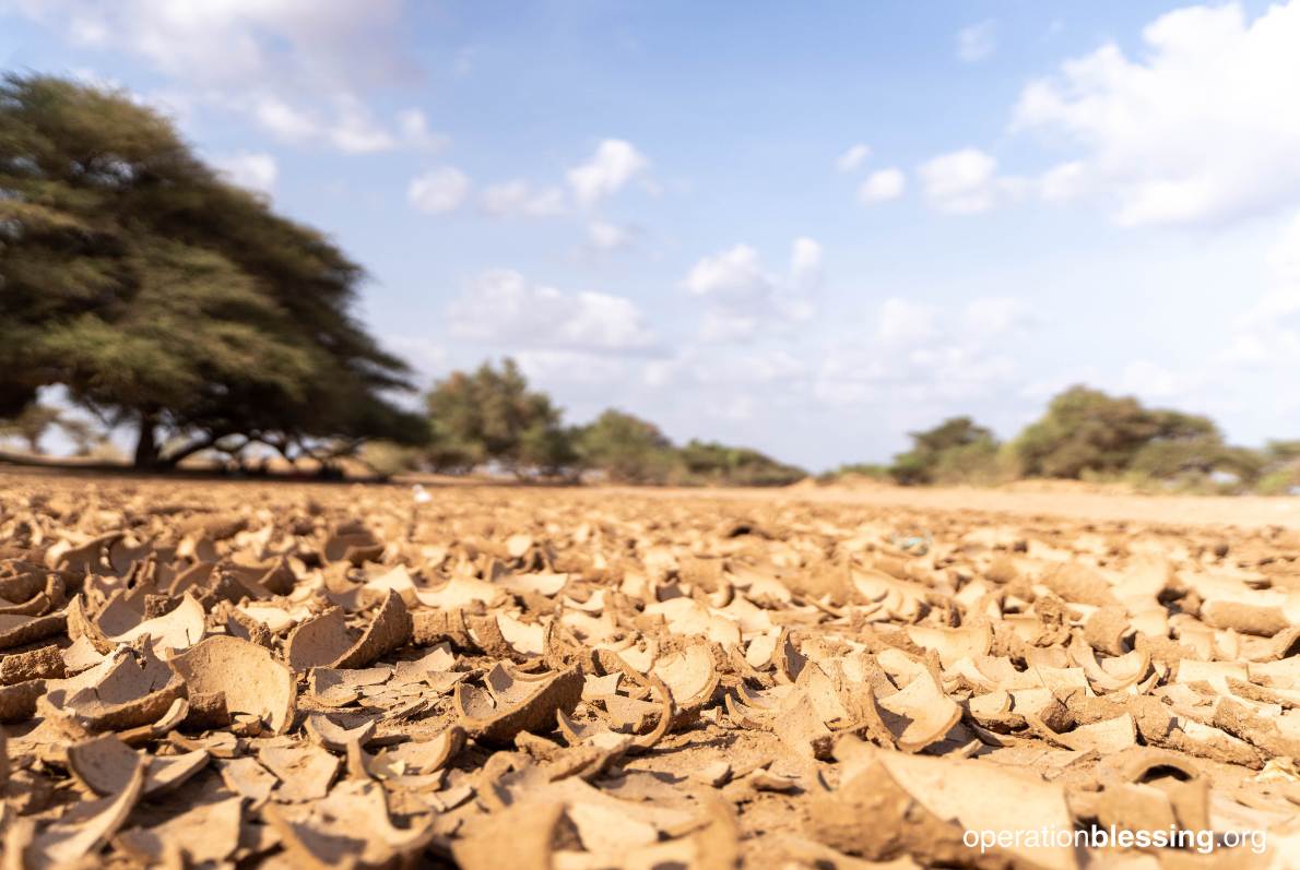 Disaster Preparedness