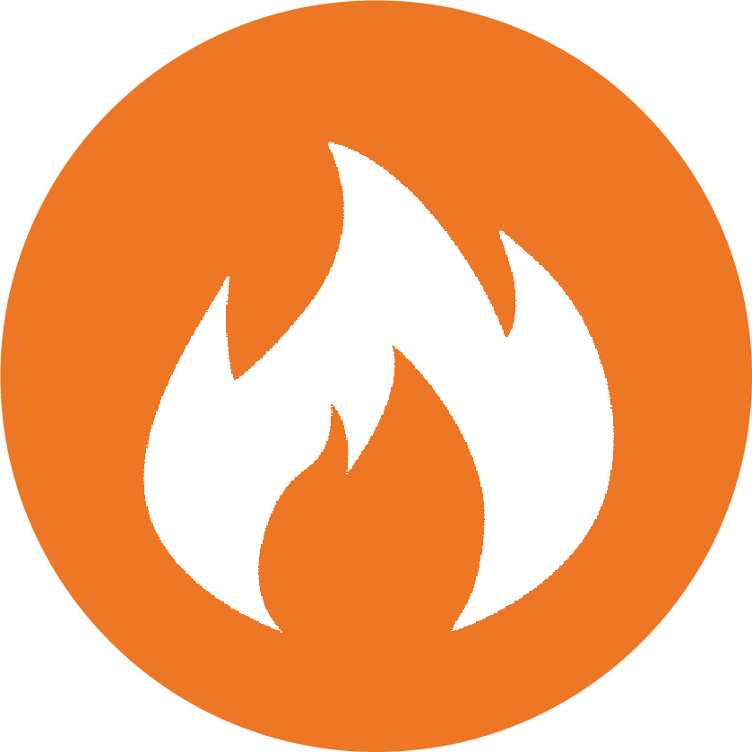 wildfire Disaster Crisis Response