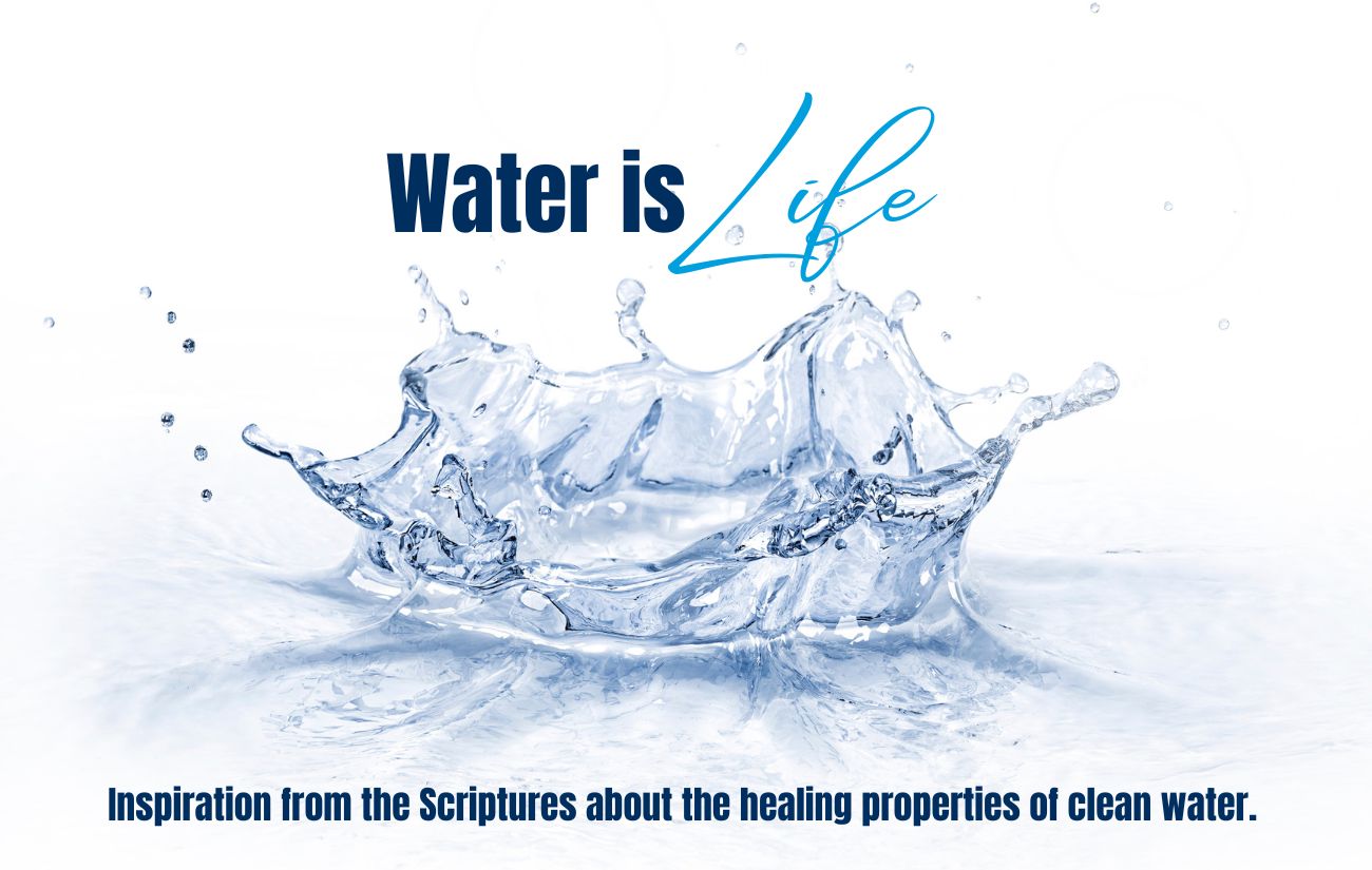 xr:d:DAFvqg0nmGw:133,j:6619585667464907896,t:24022815