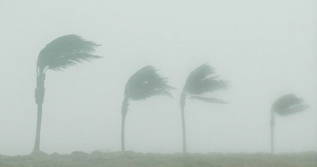 Hurricane winds