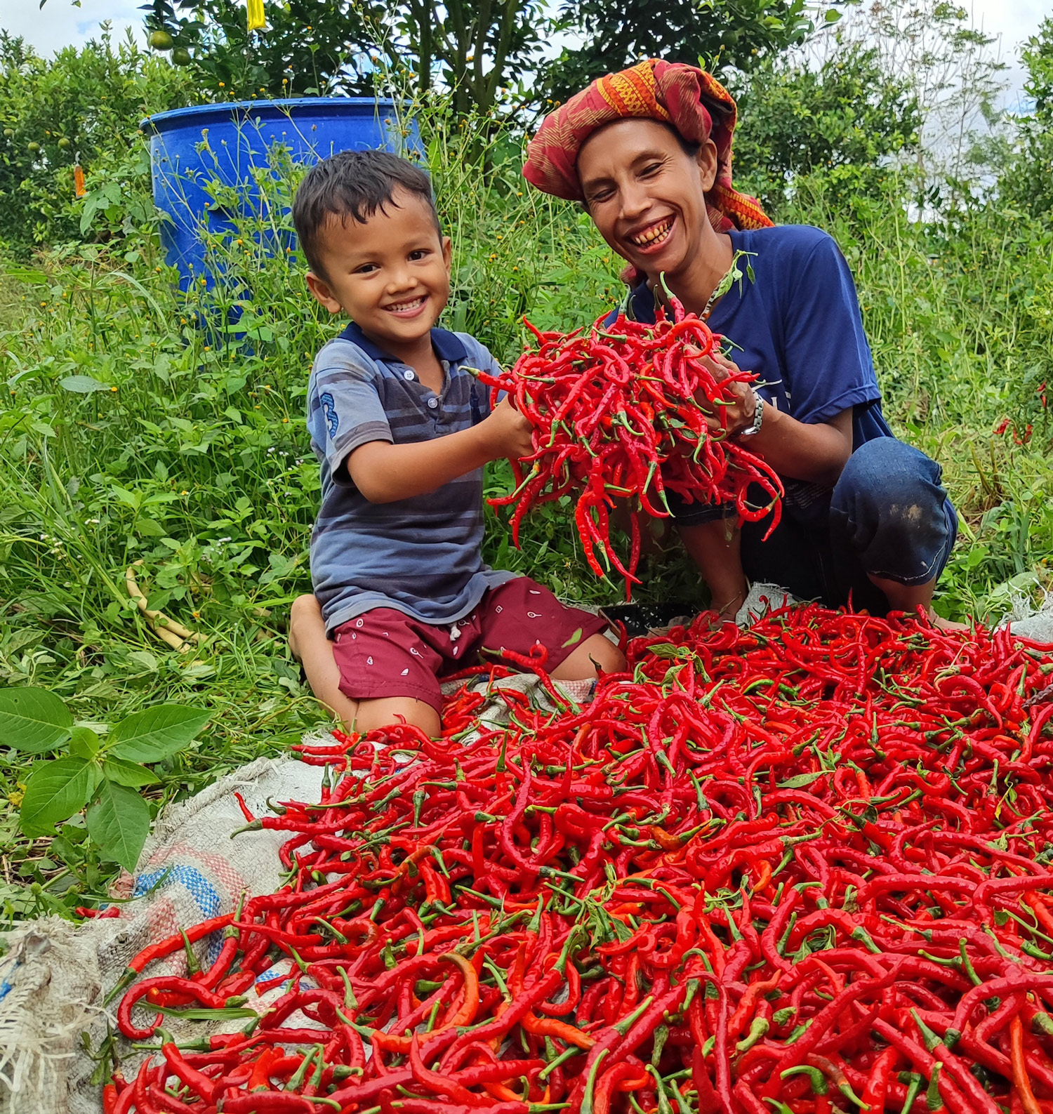 Operation Blessings Business Interest Chili Harvest