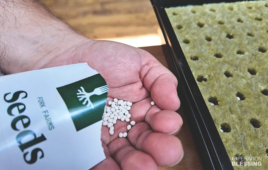 hunger relief in America